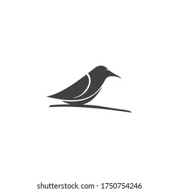 Bird Logo Template vector illustration