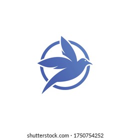 Bird Logo Template vector illustration