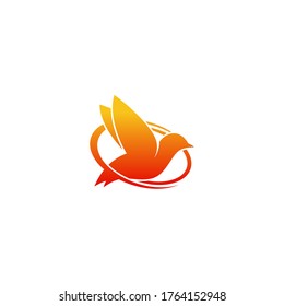 Bird Logo Template vector illustration