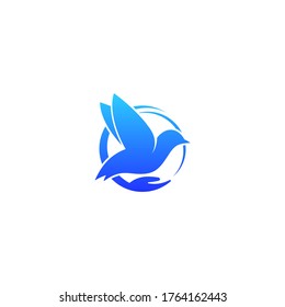Ilustración vectorial de la plantilla de logotipo de aves