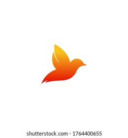 Ilustración vectorial de la plantilla de logotipo de aves