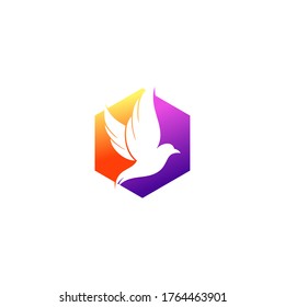 Bird Logo Template vector illustration