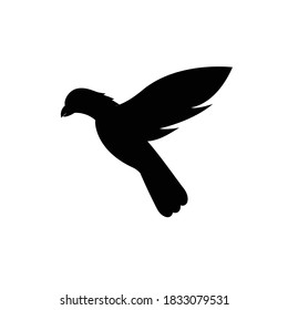 Bird Logo Template vector illustration
