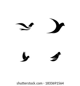 Bird Logo Template vector illustration
