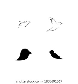 Bird Logo Template vector illustration