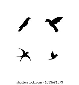 Bird Logo Template vector illustration