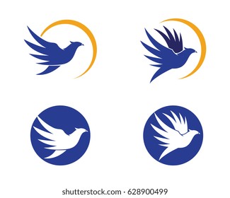 Bird Logo Template vector illustration
