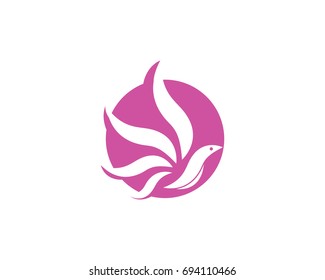 
Bird Logo Template vector illustration