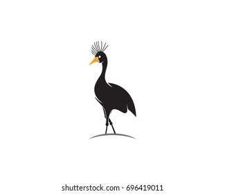Bird Logo Template vector illustration