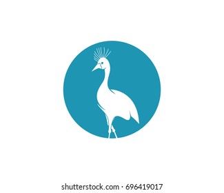 Bird Logo Template vector illustration