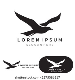 Bird  Logo Template vector symbol