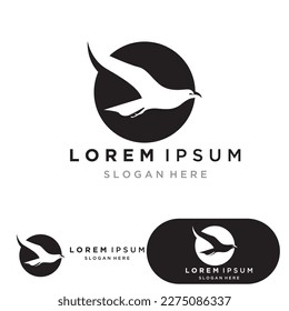 Bird  Logo Template vector symbol