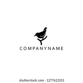 Bird, Logo, Template, Your company name