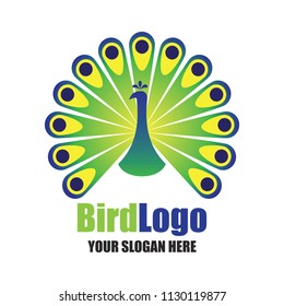 bird logo with text space for your slogan / tagline, vector illustration