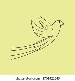 bird logo, this logo is inspired by birds in flight