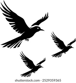 A bird logo typically represents freedom, peace, and nature