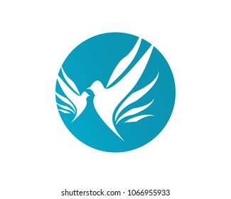 bird logo vector