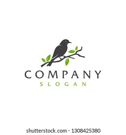 Bird Logo Vector