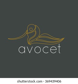 bird logo vector