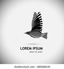 bird logo. Vector