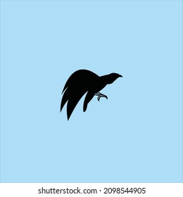 bird logo vector abstract template