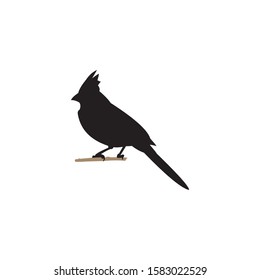 bird logo vector for business