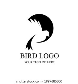 Bird Logo Vector Design. Awesome Logo.Bird logotype