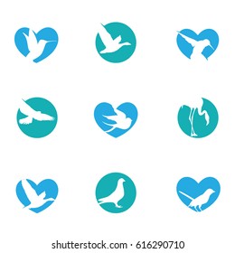 Bird logo vector design collection.