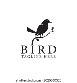 Bird logo vector design template in isolated white background