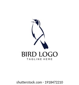 bird logo vector icon design template