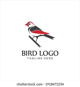 bird logo vector icon design template