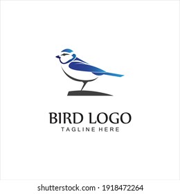 bird logo vector icon design template