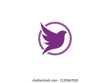 Bird Logo vector icon Template