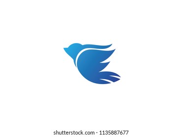 bird Logo vector icon Template