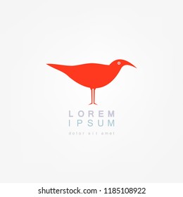 Bird logo. Vector illustration