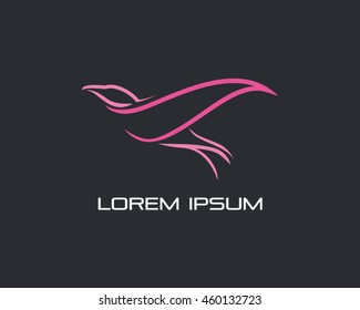 Bird Logo Vector Illustration