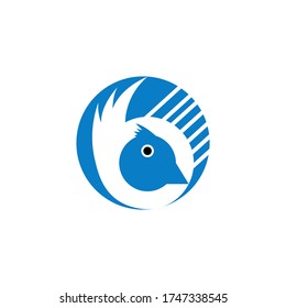 bird logo vector illustration black & blue white backgtround