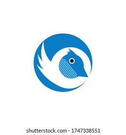 ilustración vectorial del logotipo de pájaro fondo blanco negro y azul