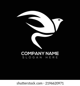 Bird logo vector illustration design 