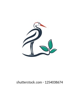 Bird Logo Vector Illustration Template