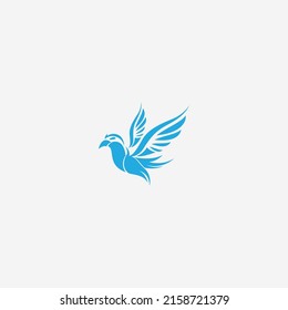 bird logo vector illustrations design icon logo template