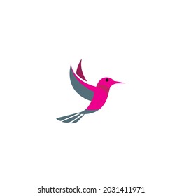 Bird logo vector and images