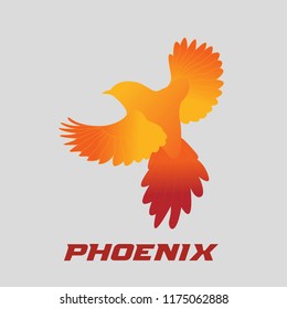 bird logo vector template
