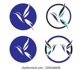 Bird Logo Vector Template 