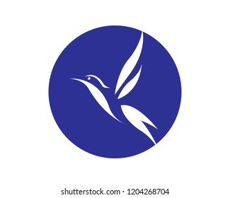 Bird Logo Vector Template 