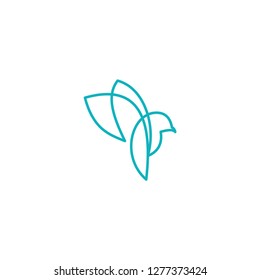 bird logo vector template