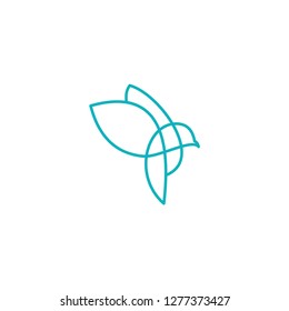 bird logo vector template