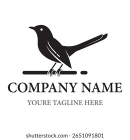 Bird logo vector template design