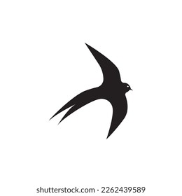Icono de la ilustración de la plantilla de vector del logotipo de aves