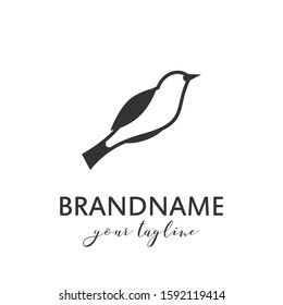 Bird logo vector template, suitable for market shop, business store, aquatic mascot and environment icon. Illustration of graphic flat style